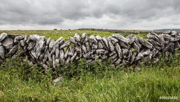 Bild på Dry stone walls built from field stone The Burren Ireland